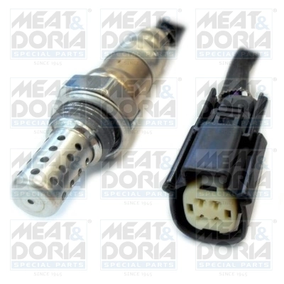 Oxygen Sensor